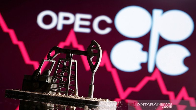OPEC+ Panaskan Harga Minyak